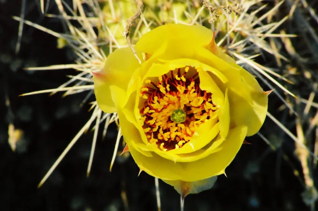 Shady Acres RV Park gallery 2