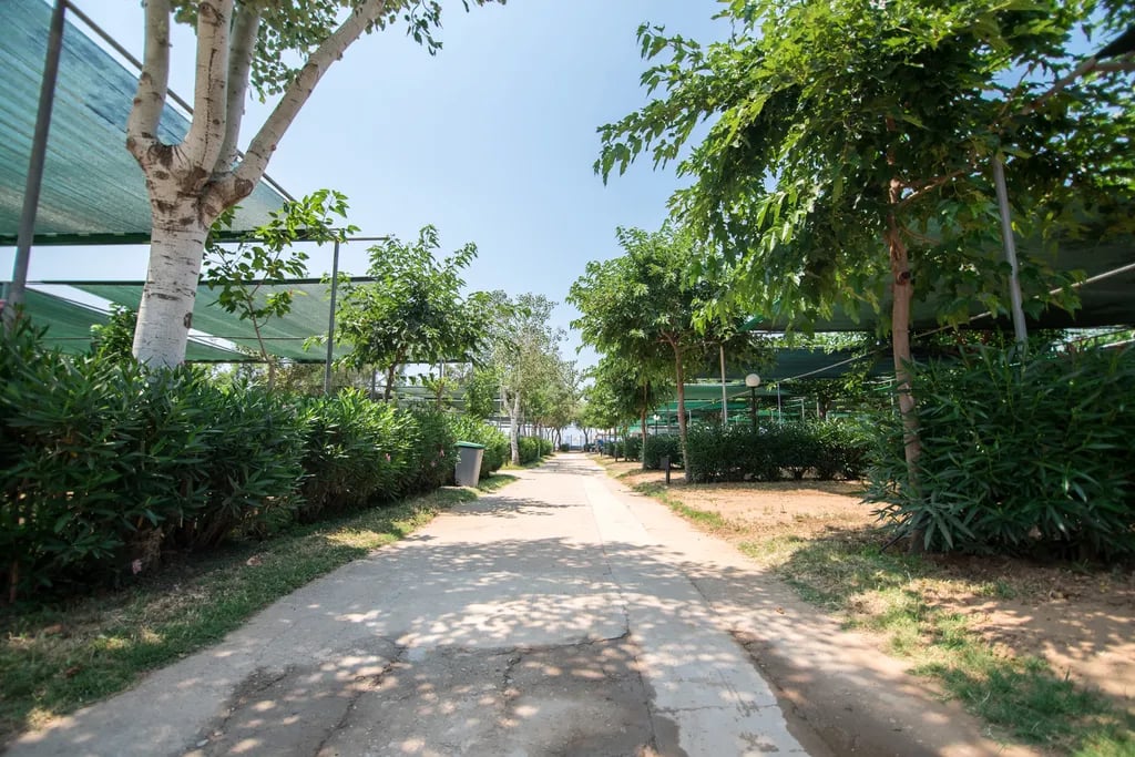 Ouzouni Beach Camping gallery 1