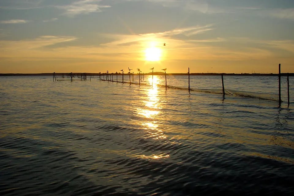 Natur Camping Usedom gallery 2