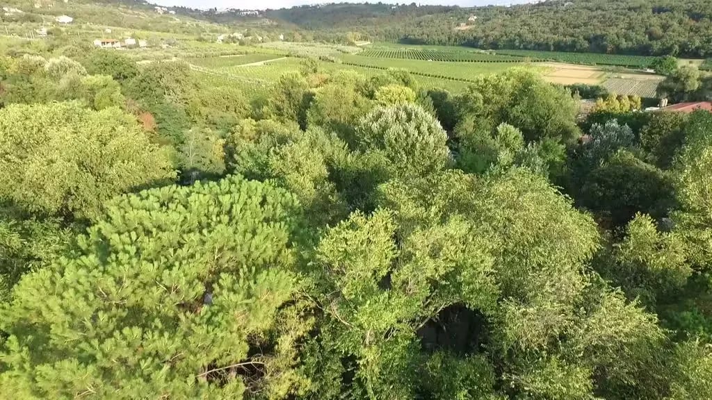 Campeggio S. Bartolomeo gallery 2