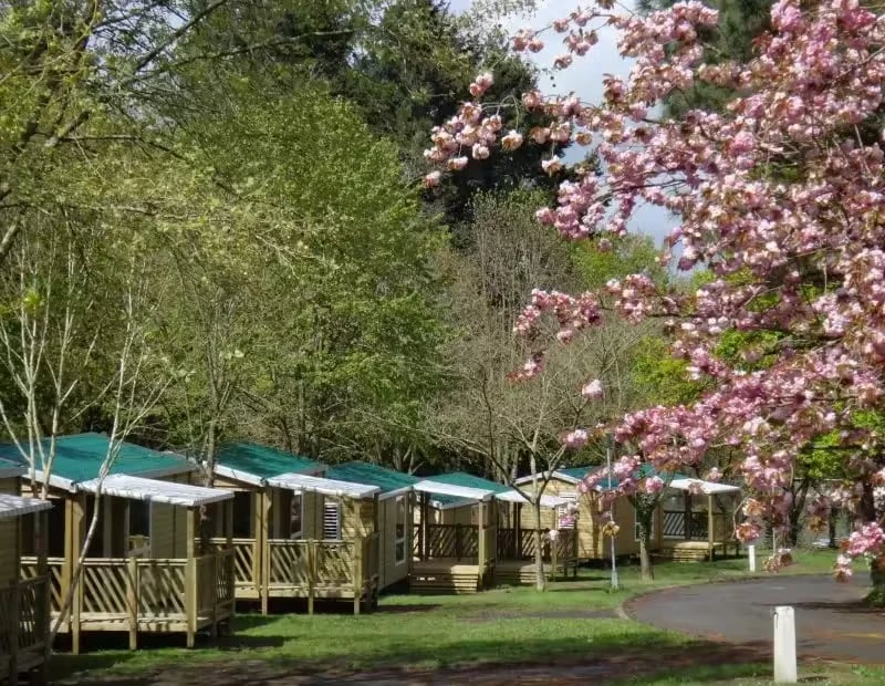 Camping Municipal Du Lac gallery 2