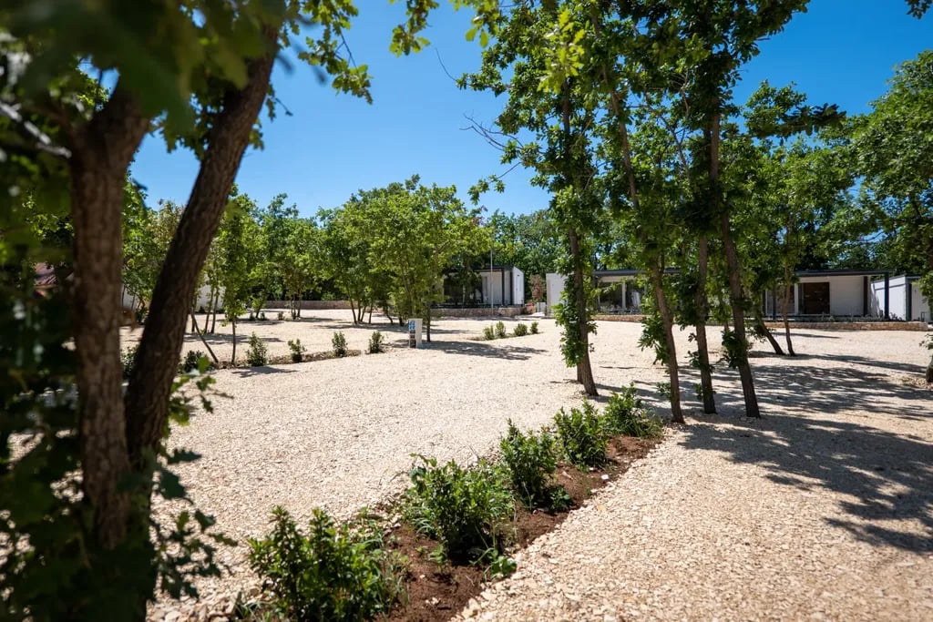 Dionis Camping Zaton