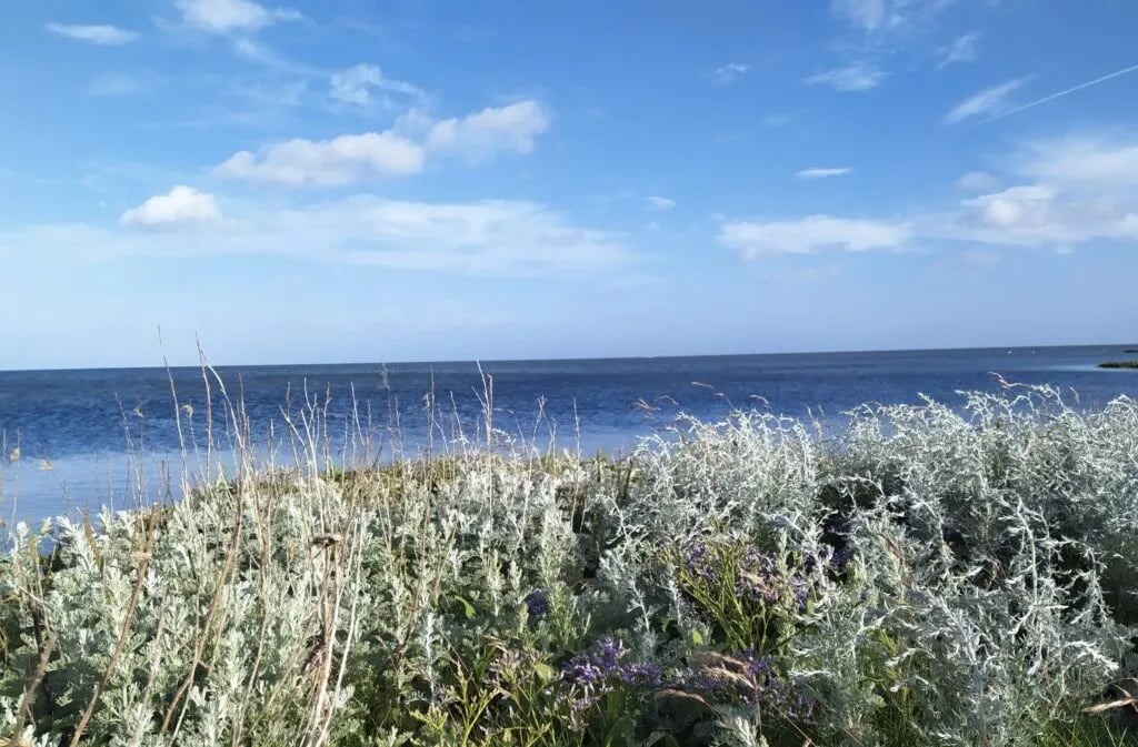 Camping Nature ferie / Natuurvakantie Denemarken gallery 3