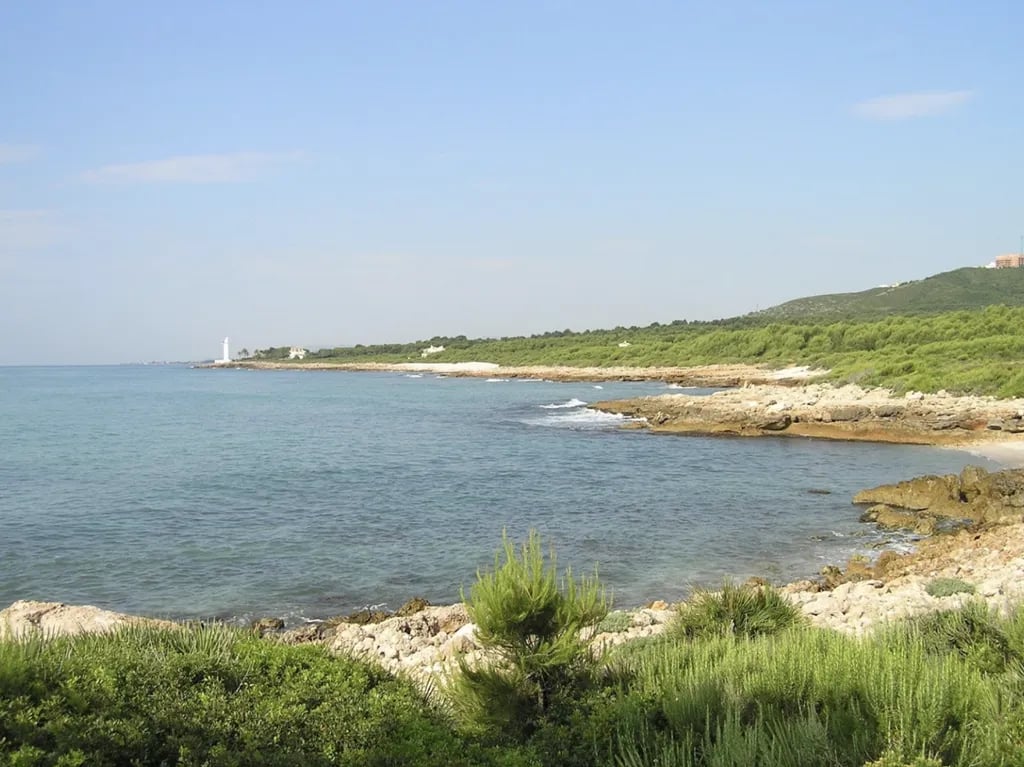 Los Olivos Camping Park gallery 3