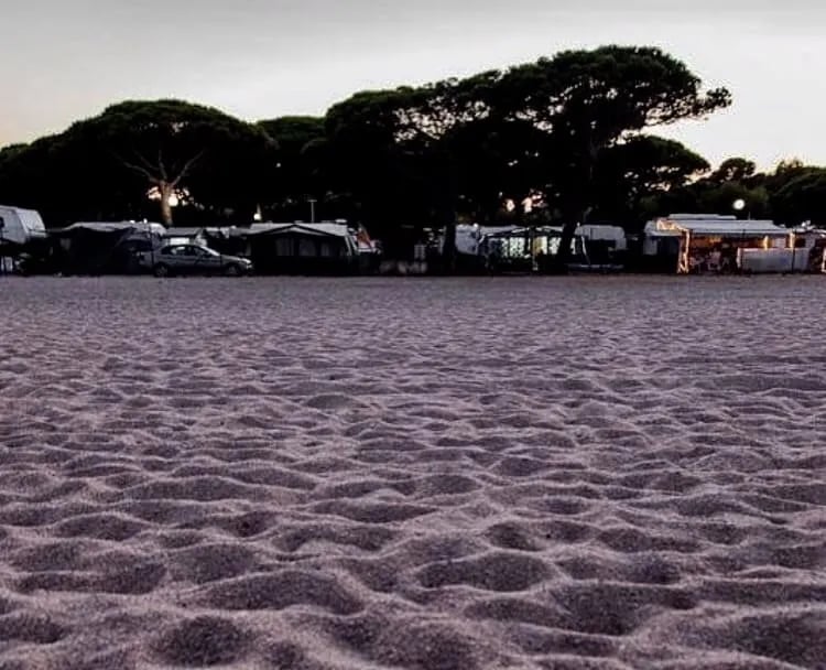 Vall d’Or Camping&Beach gallery 2