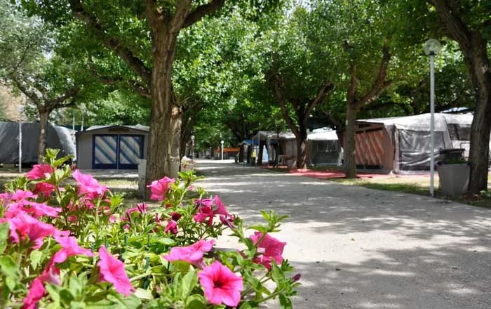 Camping Spiaggia di Velluto gallery 3