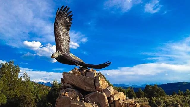 Meadows of San Juan gallery 2