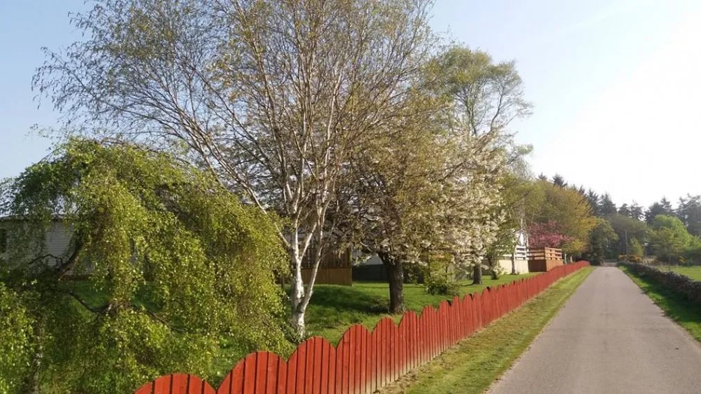 Pitgrudy Caravan Park gallery 1