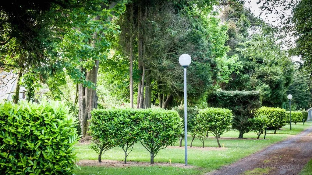 Camping L’HYPO’CAMP gallery 2