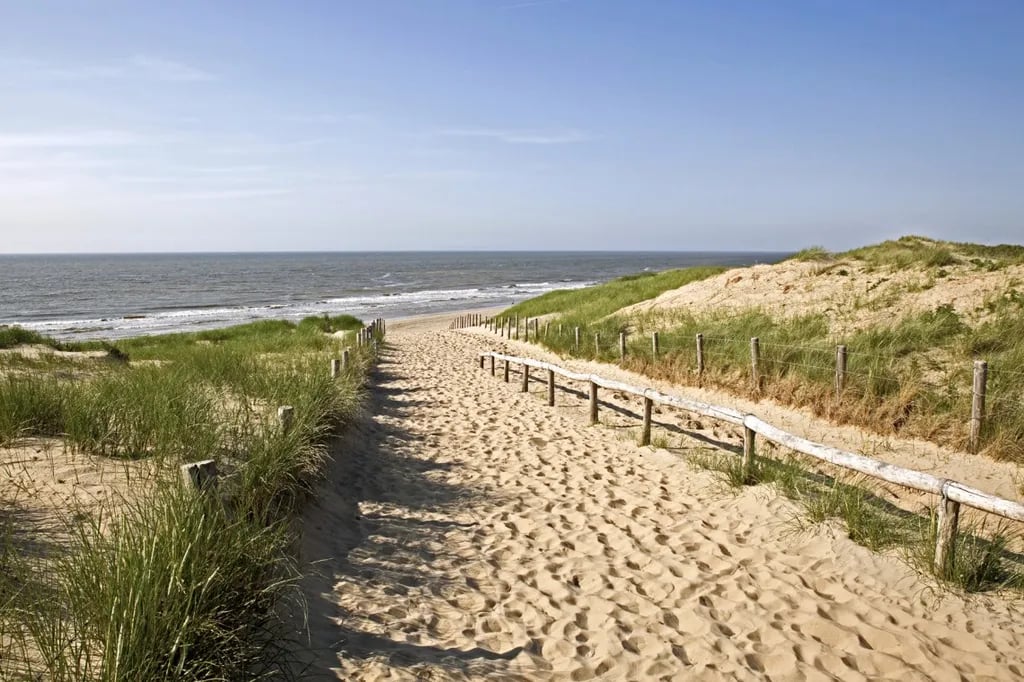 Camping De Wulp gallery 2