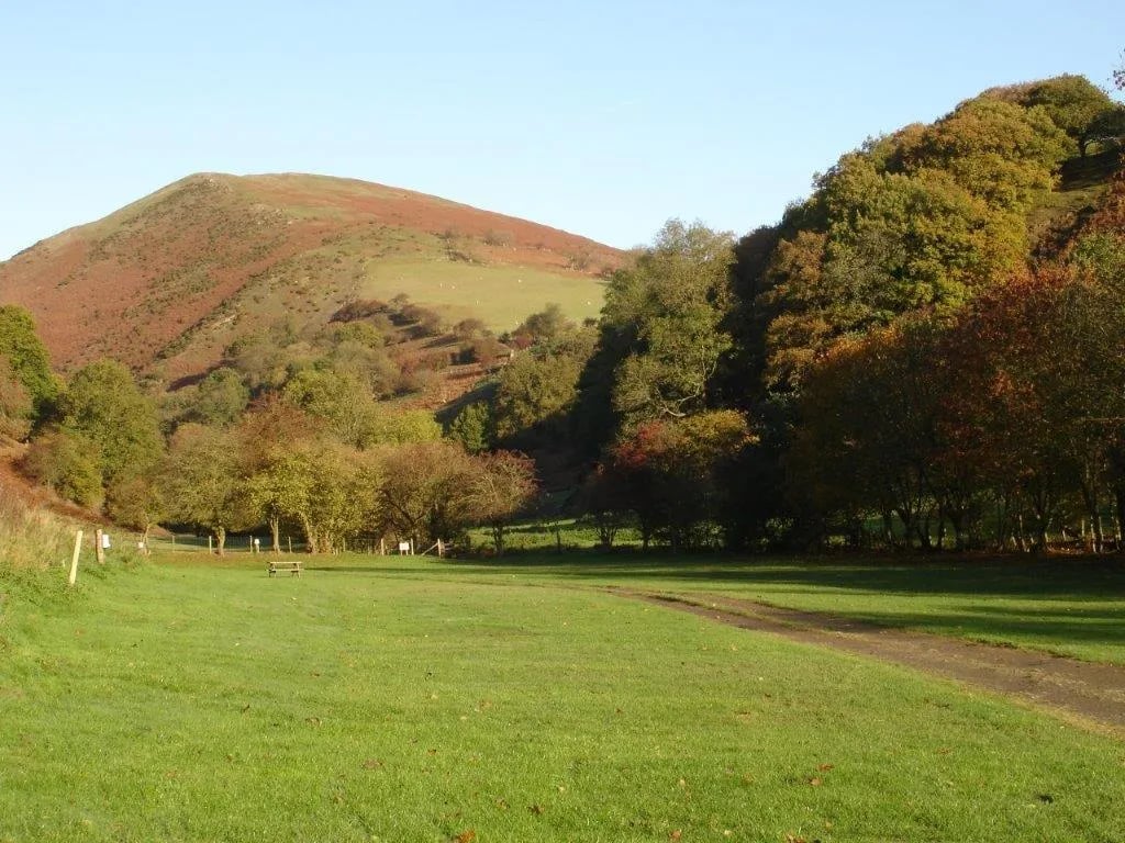 Small Batch Caravan & Camping