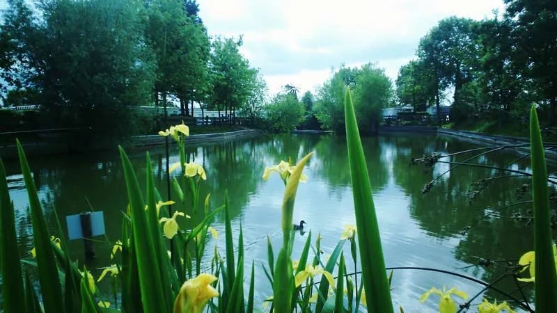 Camping La Paille-Haute gallery 1