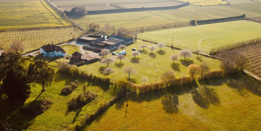 Painters Farm Campsite gallery 2