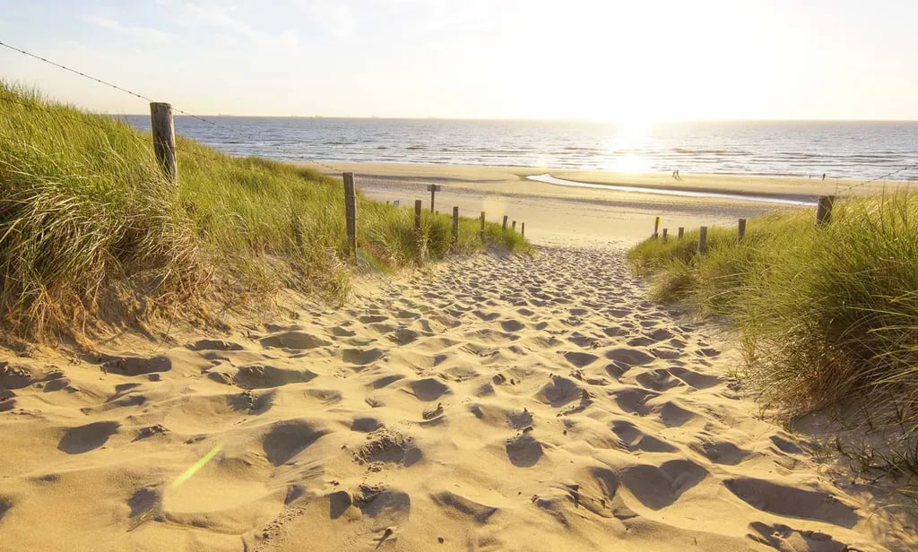 Vakantiepark Koningshof gallery 3