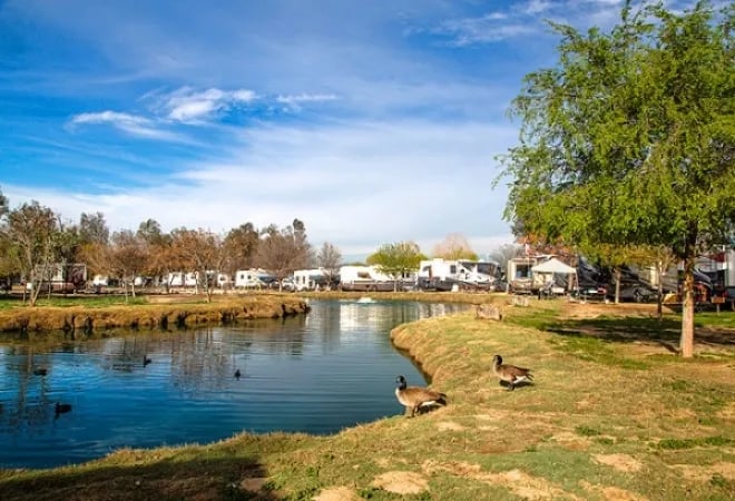 Thousand Trails Wilderness Lakes RV Resort gallery 2