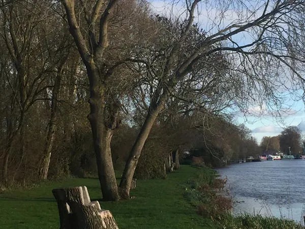 Thornhill Lakes Caravan Park gallery 2