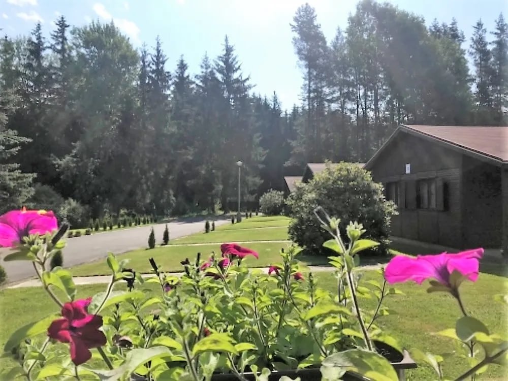 Camping La Provence gallery 1