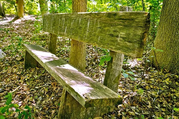 Old Cedar Campground