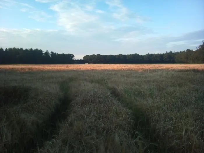 Camping De Klevercamp gallery 3