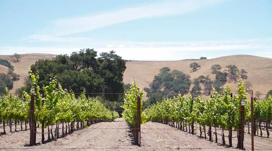 Santa Barbara Sunrise RV Park gallery 2