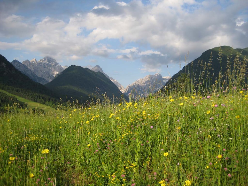 Camping Kamne gallery 4