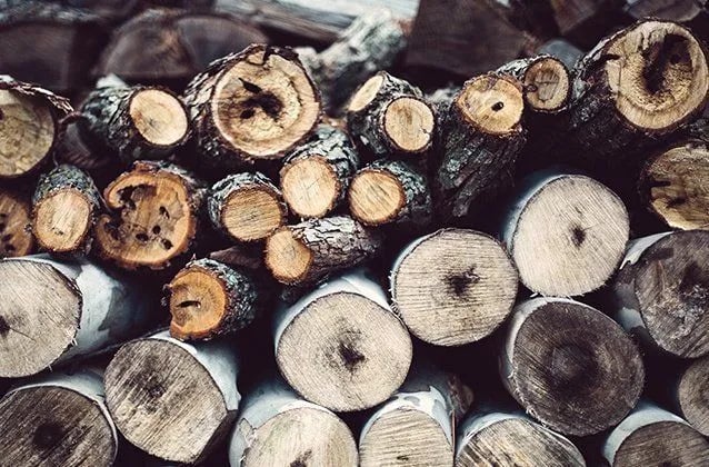 Sand Island Marine Park Campground gallery 3