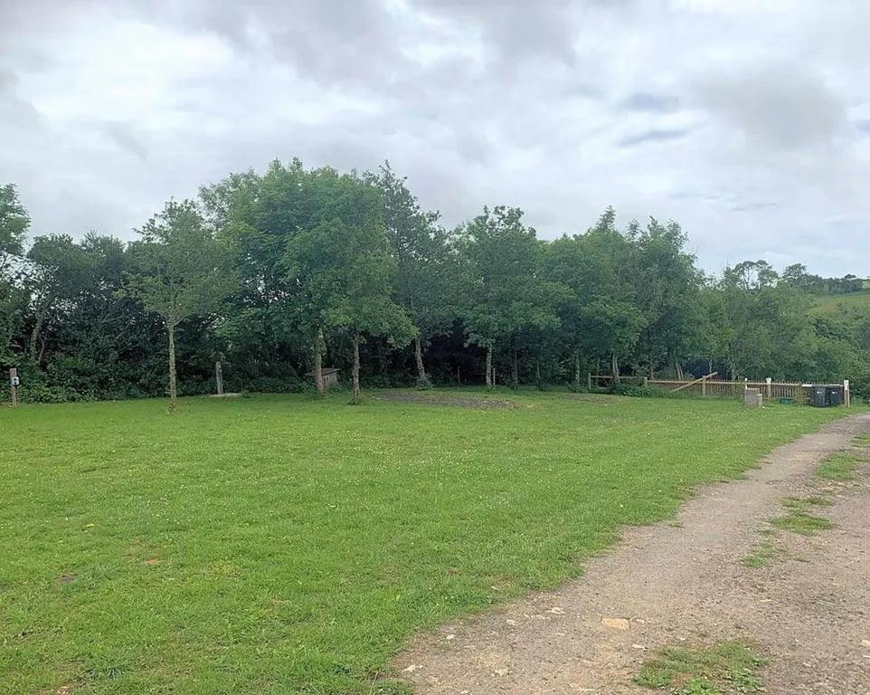 Pear Tree Farm gallery 2