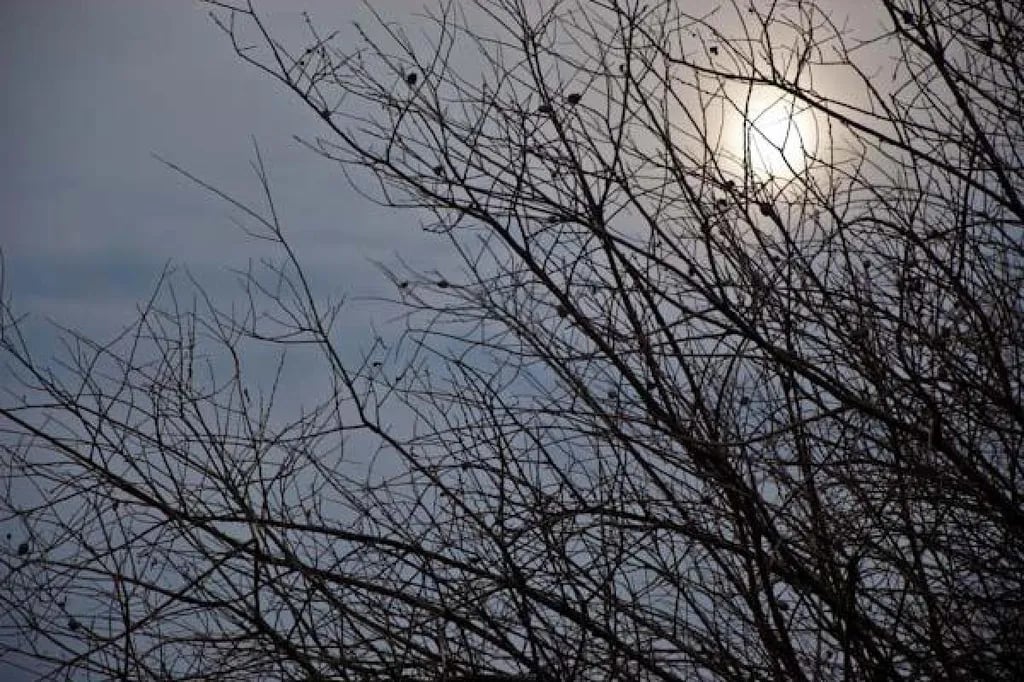 Morgan Lake – TEMPORARILY CLOSED gallery 1