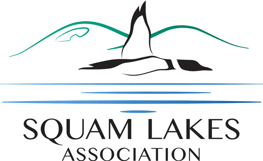 Squam Lakes Association
