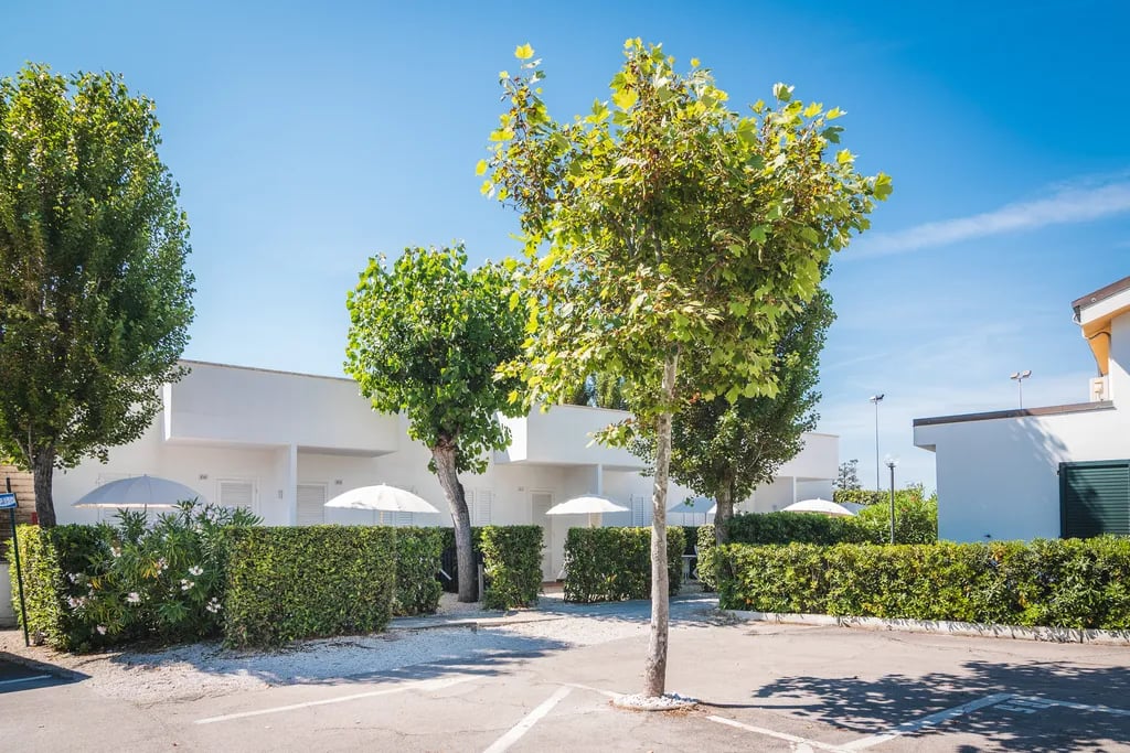 Campeggio Le Mimose gallery 1
