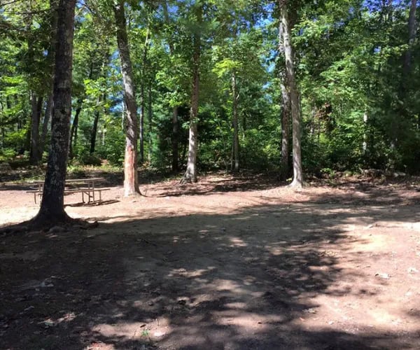 Wilderness Lake Park