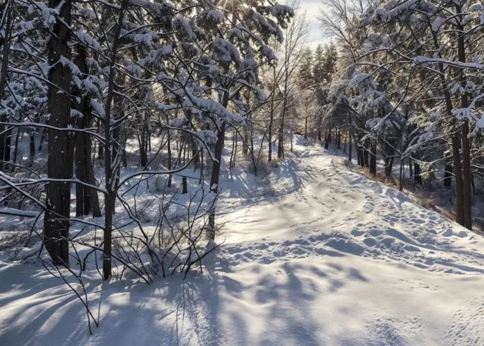 Camping Aventure Mégantic inc. gallery 1