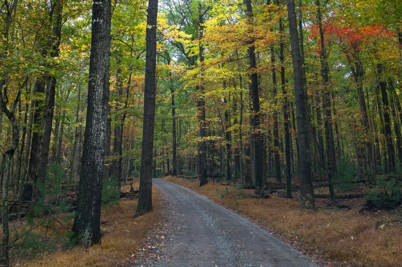 Hominy Ridge Cabins and Gift Shop gallery 2