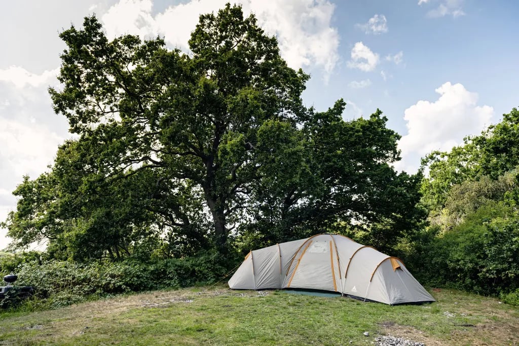 Møn Strandcamping – Ulvshale gallery 1