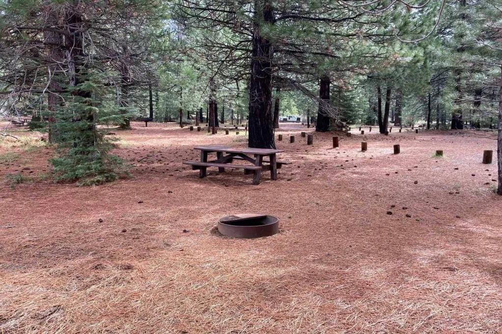 Ponderosa Flat Campground gallery 2