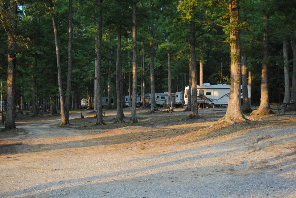Ed Allen’s Campground and Cottages