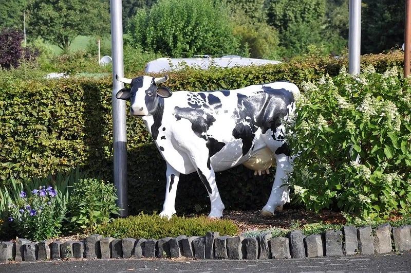 Camping Jillieshof gallery 1