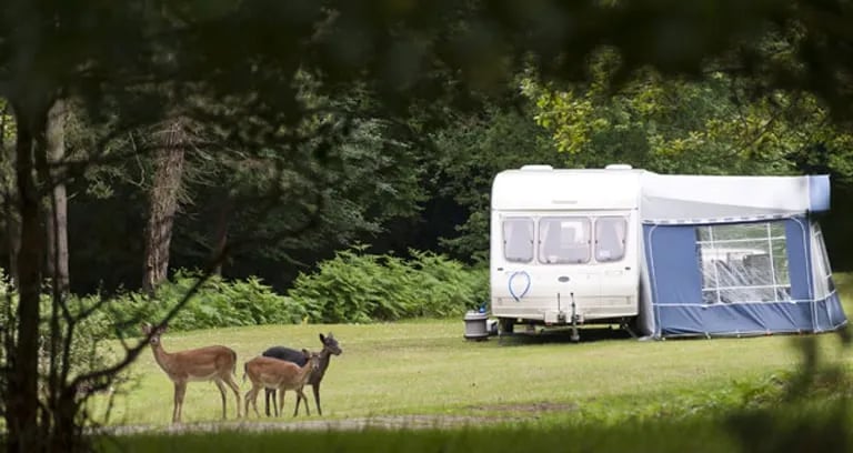 Longbeech Caravan and Camping Site gallery 2