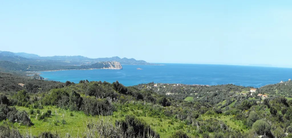 Agricamping – Agriturismo Petra di Cossu gallery 3