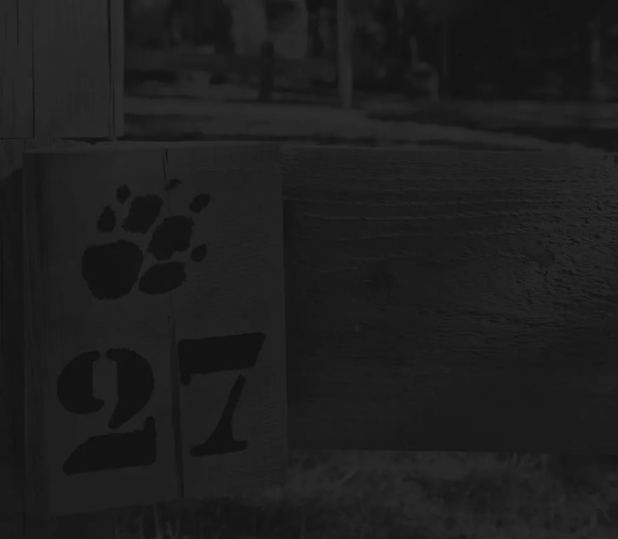 Albirondack Parc camping lodge et spa