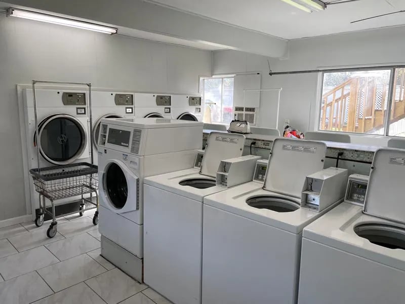 Ancient Oaks RV Park gallery 3