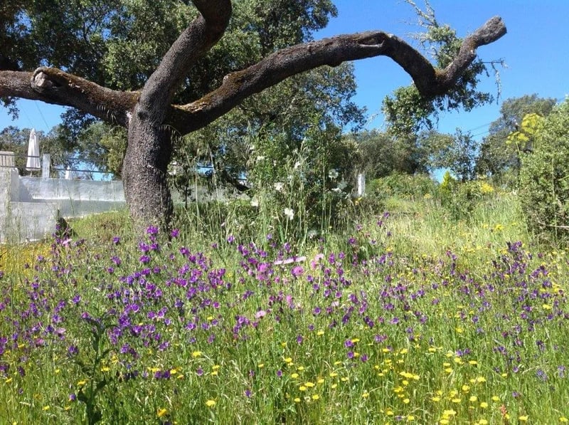 Camping Alentejo gallery 1
