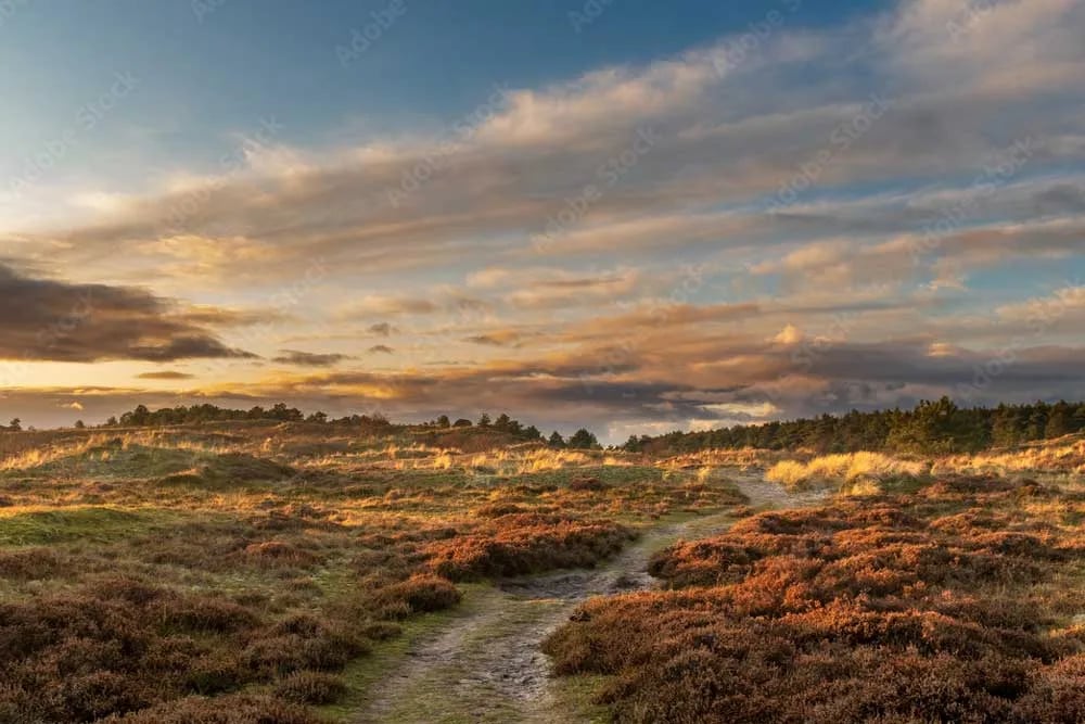 Whitegate Leisure Caravan and Camp Site gallery 1