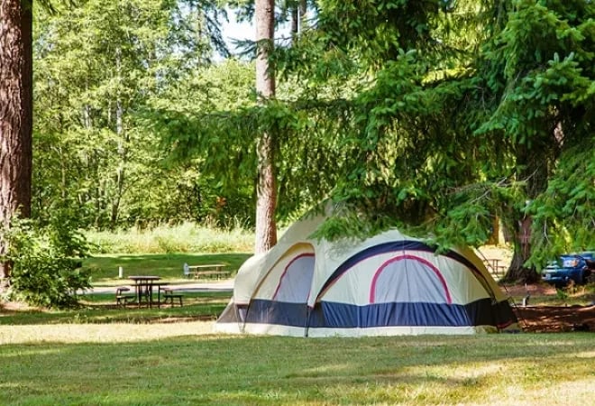 Thousand Trails Paradise RV Campground gallery 3