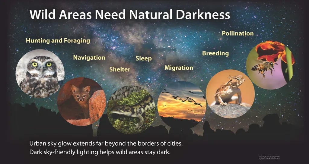 Red Fleet State Park Campground