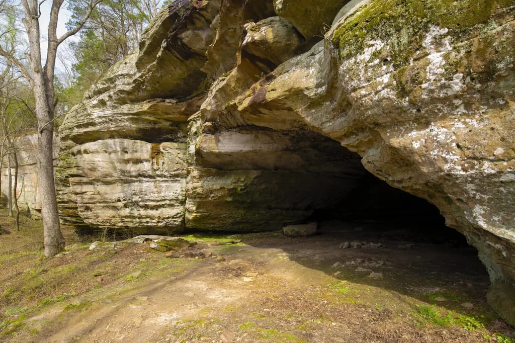 Timber Ridge Outpost & Cabins