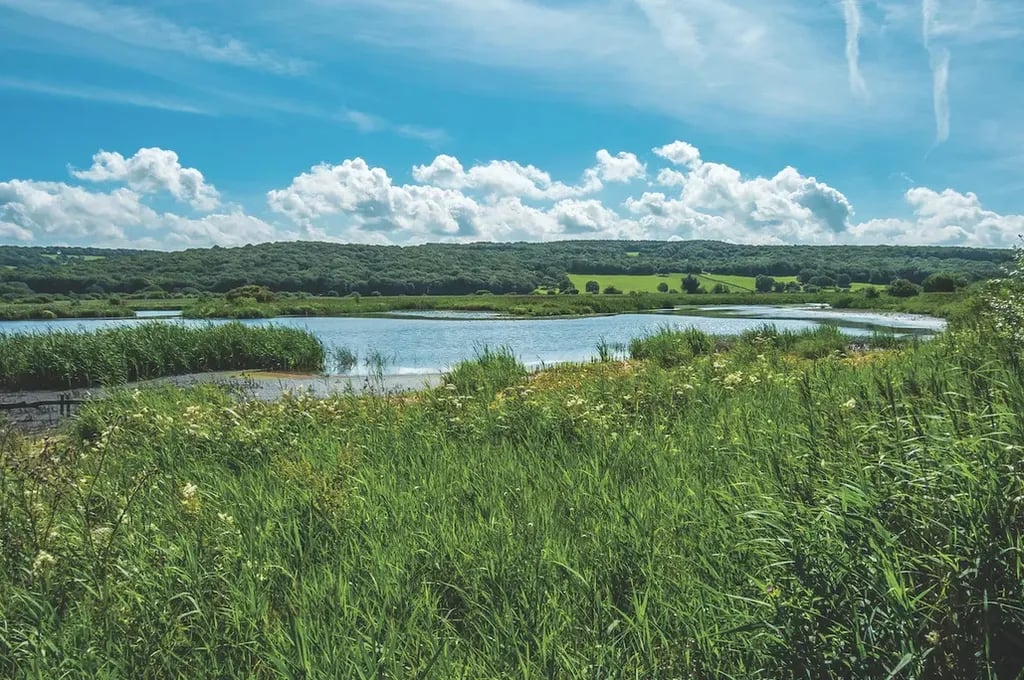 Gibraltar Farm Camp Site gallery 2