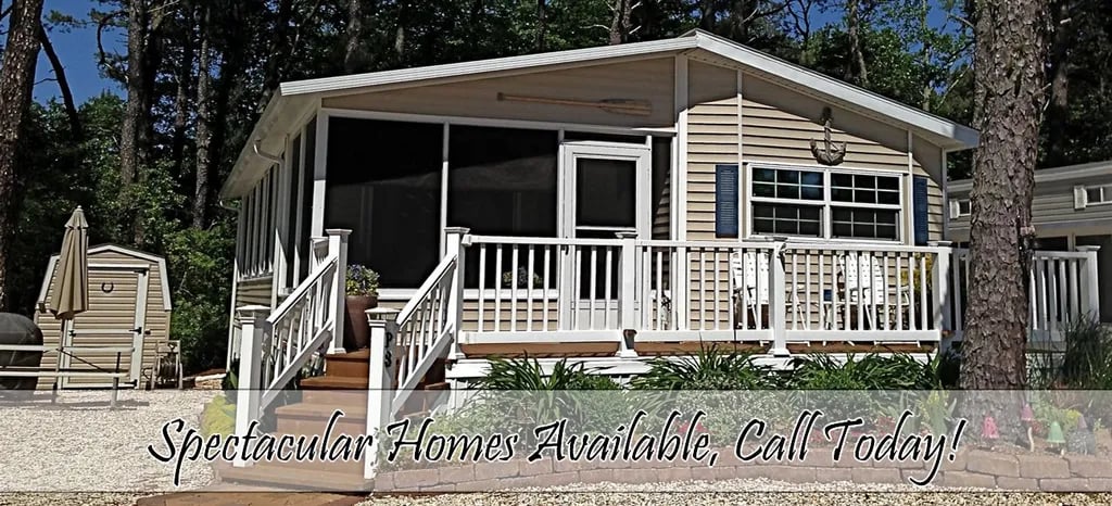 Driftwood Too gallery 1