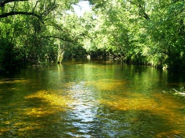Canoe Outpost Little Manatee River gallery 2