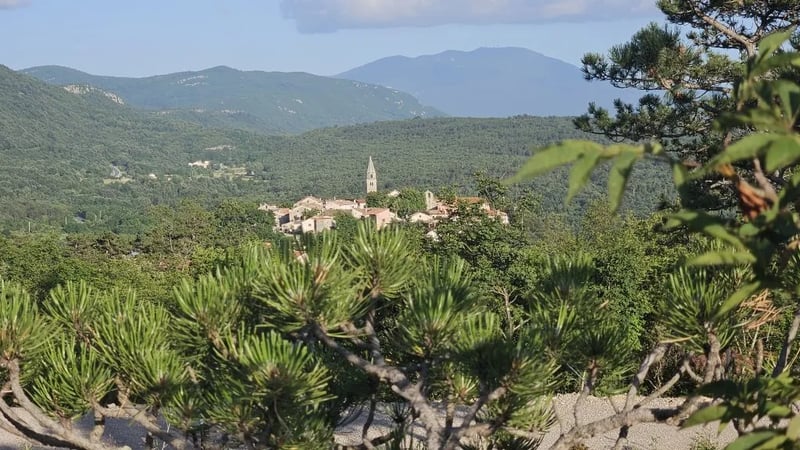 Vela Stina Camping